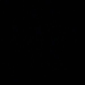 Meet your Posher, Creeanna